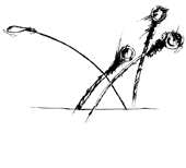 Saiten